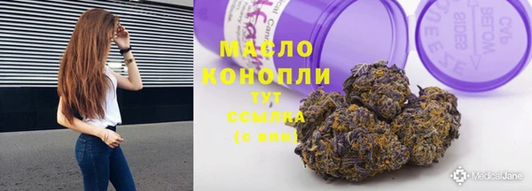 дмт Абаза