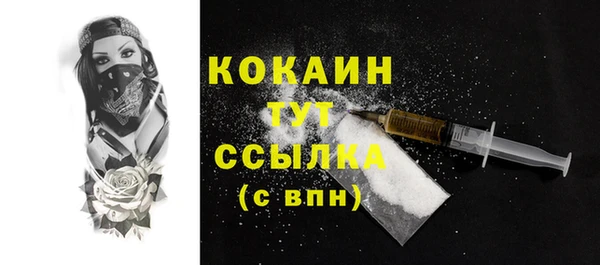 дмт Абаза