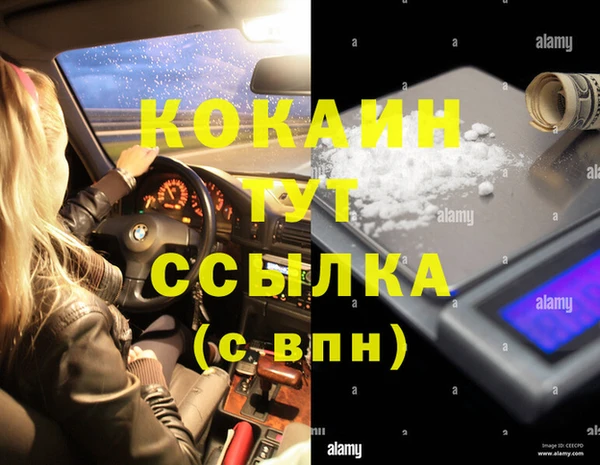 дмт Абаза