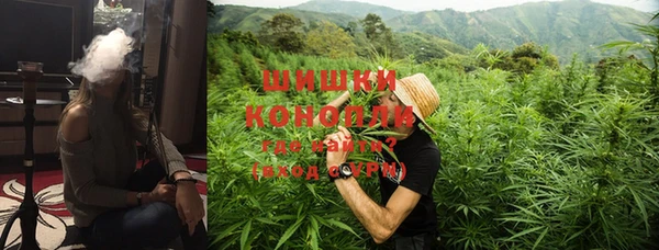 дмт Абаза