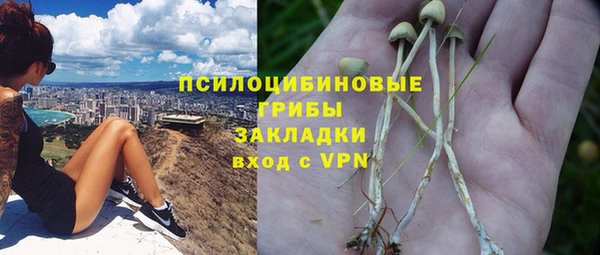 дмт Абаза