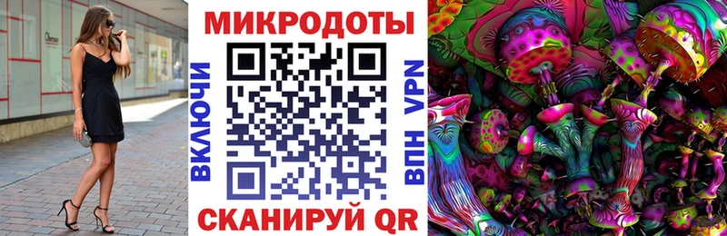 Галлюциногенные грибы Psilocybine cubensis Власиха